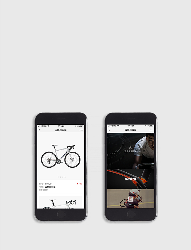 品牌網(wǎng)站建設